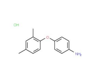4-(2,4-Dimethylphenoxy)aniline hydrochloride - chemical structure image