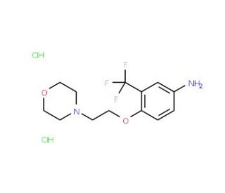 4-[2-(4-Morpholinyl)ethoxy]-3-(trifluoromethyl)-phenylamine dihydrochloride - chemical structure image