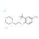 4-[2-(4-Morpholinyl)ethoxy]-3-(trifluoromethyl)-phenylamine dihydrochloride - chemical structure image
