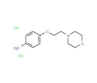 4-[2-(4-Morpholinyl)ethoxy]aniline dihydrochloride - chemical structure image