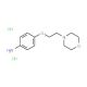 4-[2-(4-Morpholinyl)ethoxy]aniline dihydrochloride - chemical structure image