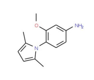 4-(2,5-Dimethyl-pyrrol-1-yl)-3-methoxy-phenylamine - chemical structure image