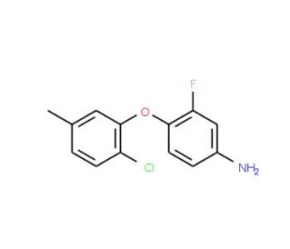 4-(2-Chloro-5-methylphenoxy)-3-fluorophenylamine - chemical structure image