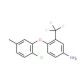 4-(2-Chloro-5-methylphenoxy)-3-(trifluoromethyl)-phenylamine - chemical structure image