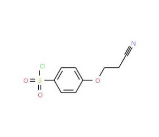 4-(2-Cyanoethoxy)benzenesulfonyl chloride (CAS 362476-05-9) - chemical structure image