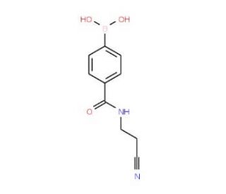 4-(2-Cyanoethylaminocarbonyl)phenylboronic acid (CAS 850568-16-0) - chemical structure image