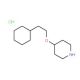 4-(2-Cyclohexylethoxy)piperidine hydrochloride - chemical structure image