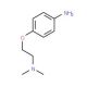 4-[2-(dimethylamino)ethoxy]aniline (CAS 62345-76-0) - chemical structure image