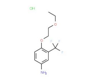 4-(2-Ethoxyethoxy)-3-(trifluoromethyl)aniline hydrochloride - chemical structure image