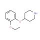 4-(2-Ethoxyphenoxy)piperidine (CAS 420137-19-5) - chemical structure image