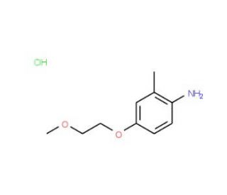 4-(2-Methoxyethoxy)-2-methylaniline hydrochloride - chemical structure image