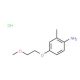 4-(2-Methoxyethoxy)-2-methylaniline hydrochloride - chemical structure image
