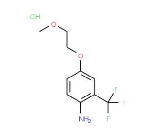 4-(2-Methoxyethoxy)-2-(trifluoromethyl)anilinehydrochloride - chemical structure image