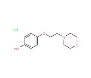 4-[2-(morpholin-4-yl)ethoxy]phenol hydrochloride (CAS 1181457-78-2) - chemical structure image