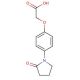 [4-(2-oxopyrrolidin-1-yl)phenoxy]acetic acid - chemical structure image