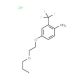4-(2-Propoxyethoxy)-2-(trifluoromethyl)anilinehydrochloride - chemical structure image