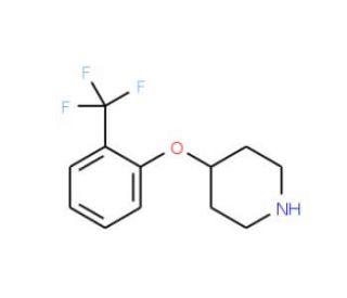 4-[2-(Trifluoromethyl)phenoxy]piperidine (CAS 824390-04-7) - chemical structure image
