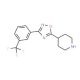 4-{3-[3-(Trifluoromethyl)phenyl]-[1,2,4]-oxadiazol-5-yl}piperidine (CAS 808764-45-6) - chemical structure image