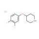 4-(3,4-Difluorophenoxy)piperidinehydrochloride (CAS 204013-09-2) - chemical structure image