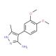 4-(3,4-Dimethoxy-phenyl)-5-methyl-2H-pyrazol-3-ylamine - chemical structure image