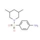 4-(3,5-Dimethyl-piperidine-1-sulfonyl)-phenylamine - chemical structure image