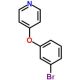 4-(3-bromophenoxy)pyridine - chemical structure image