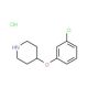 4-(3-Chlorophenoxy)piperidine hydrochloride (CAS 65367-99-9) - chemical structure image