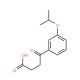 4-(3-iso-Propoxyphenyl)-4-oxobutyric acid - chemical structure image