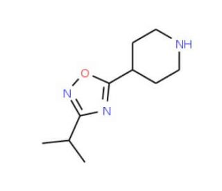 4-(3-Isopropyl-1,2,4-oxadiazol-5-yl)piperidine (CAS 733748-92-0) - chemical structure image