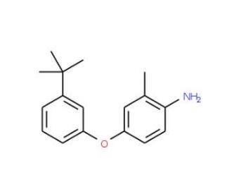 4-[3-(tert-Butyl)phenoxy]-2-methylphenylamine - chemical structure image