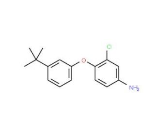 4-[3-(tert-Butyl)phenoxy]-3-chlorophenylamine - chemical structure image