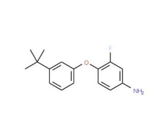 4-[3-(tert-Butyl)phenoxy]-3-fluorophenylamine - chemical structure image