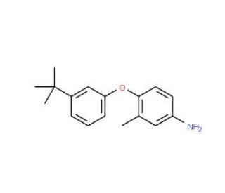 4-[3-(tert-Butyl)phenoxy]-3-methylphenylamine - chemical structure image