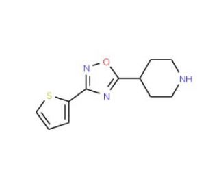 4-[3-(Thien-2-yl)-[1,2,4]-oxadiazol-5-yl]-piperidine (CAS 244272-35-3) - chemical structure image
