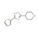 4-[3-(Thien-2-yl)-[1,2,4]-oxadiazol-5-yl]-piperidine (CAS 244272-35-3) - chemical structure image