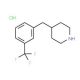 4-(3-Trifluoromethyl-benzyl)-piperidine hydrochloride (CAS 37581-29-6) - chemical structure image