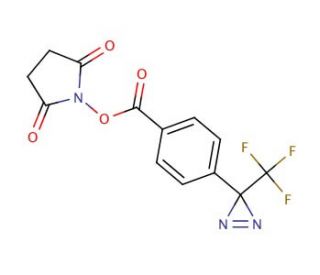 4-[3-(Trifluoromethyl)diazirin-3-yl]benzoic Acid N-Hydroxysuccinimide Ester (CAS 87736-89-8) - chemical structure image