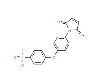 4-[4-(2,5-Dioxo-2,5-dihydro-pyrrol-1-yl)-phenoxy]-benzenesulfonyl chloride - chemical structure image