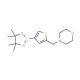 4-[4-(4,4,5,5-Tetramethyl-1,3,2-dioxaborolan-2-yl)thien-2-ylmethyl]morpholine (CAS 364794-85-4) - chemical structure image