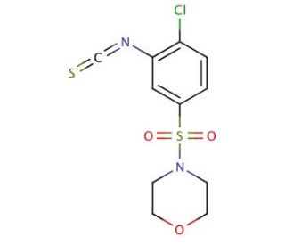 4-(4-Chloro-3-isothiocyanato-benzenesulfonyl)-morpholine - chemical structure image
