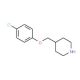 4-(4-Chloro-phenoxymethyl)-piperidine (CAS 63608-33-3) - chemical structure image
