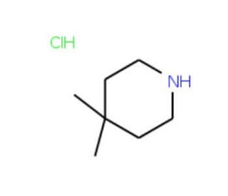 4,4-Dimethylpiperidine hydrochloride (CAS 38646-68-3 ) - chemical structure image