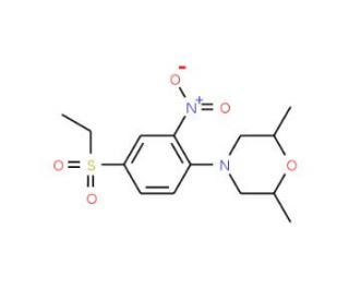 4-[4-(Ethylsulfonyl)-2-nitrophenyl]-2,6-dimethylmorpholine - chemical structure image
