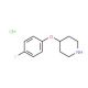 4-(4-Fluorophenoxy)piperidine hydrochloride (CAS 3202-34-4) - chemical structure image