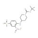 4-[4-(Methylsulphonyl)-2-nitrophenyl]piperidine-4-amine, N1-BOC protected - chemical structure image
