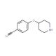 4-(4-Piperidinyloxy)benzonitrile (CAS 224178-67-0) - chemical structure image