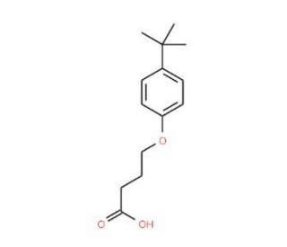 4-(4-tert-Butyl-phenoxy)-butyric acid (CAS 87411-30-1) - chemical structure image