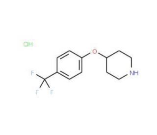 4-[4-(Trifluoromethyl)phenoxy]piperidine hydrochloride (CAS 287952-09-4) - chemical structure image