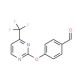 4-{[4-(Trifluoromethyl)pyrimidin-2-yl]oxy}benzaldehyde (CAS 874782-05-5) - chemical structure image