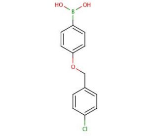 4-(4&prime;-Chlorobenzyloxy)phenylboronic acid (CAS 870778-91-9) - chemical structure image
